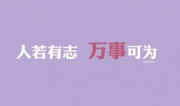 励志爆料视频大全集,见证奋斗的力量与梦想的翅膀