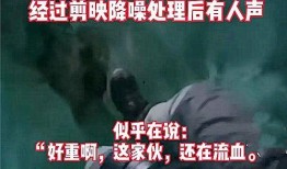 西藏近期爆料事件视频大全,真相与争议交织