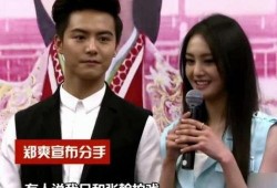 爆料娱乐圈张翰小说,揭秘娱乐圈背后的爱恨情仇