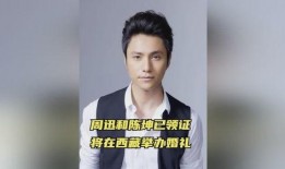 陈坤和周迅最新爆料视频,幕后故事与情感纠葛