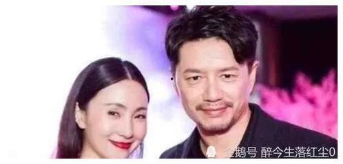娱乐圈明星在线吃瓜小说
